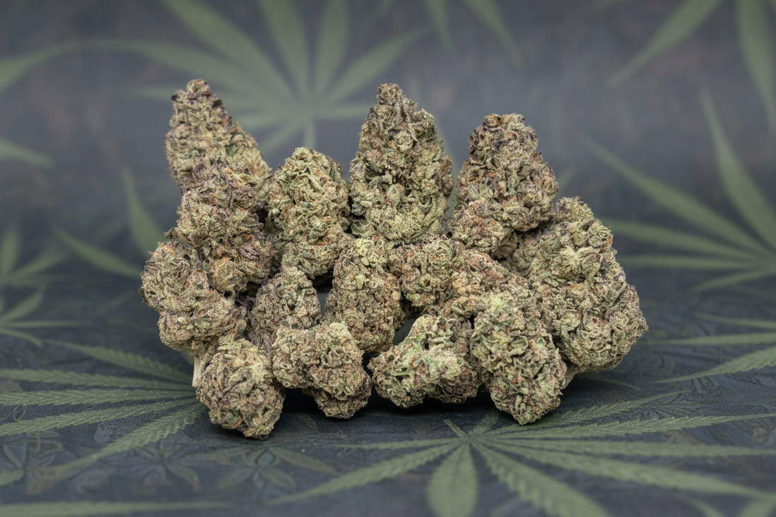 Cookie Breath Exotic Greenhouse Flower