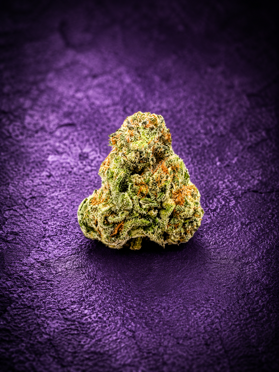 Star Beltz - Mixed Light Exotic Indoor Flower