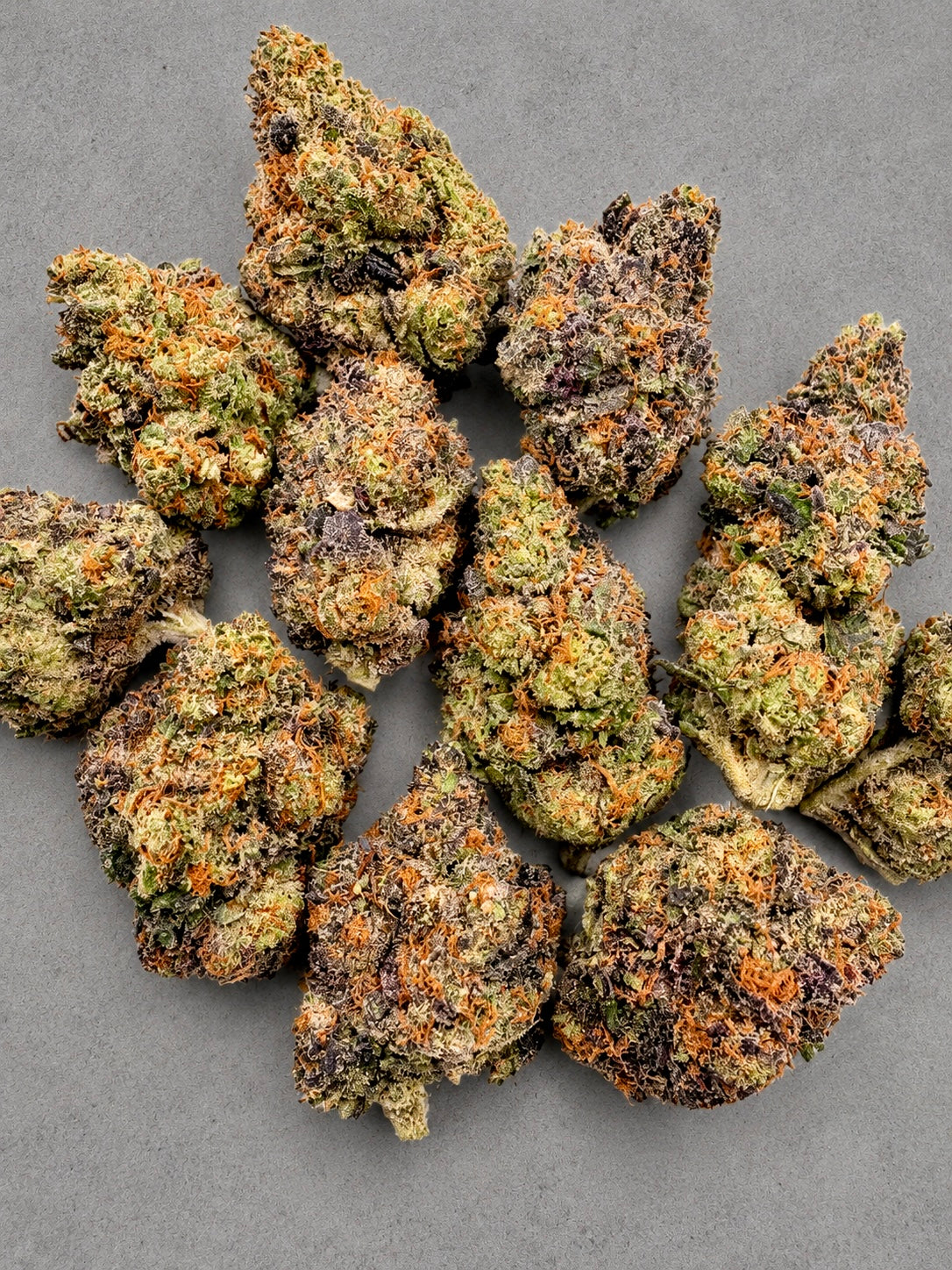 Vampire Venom - OZ Deals