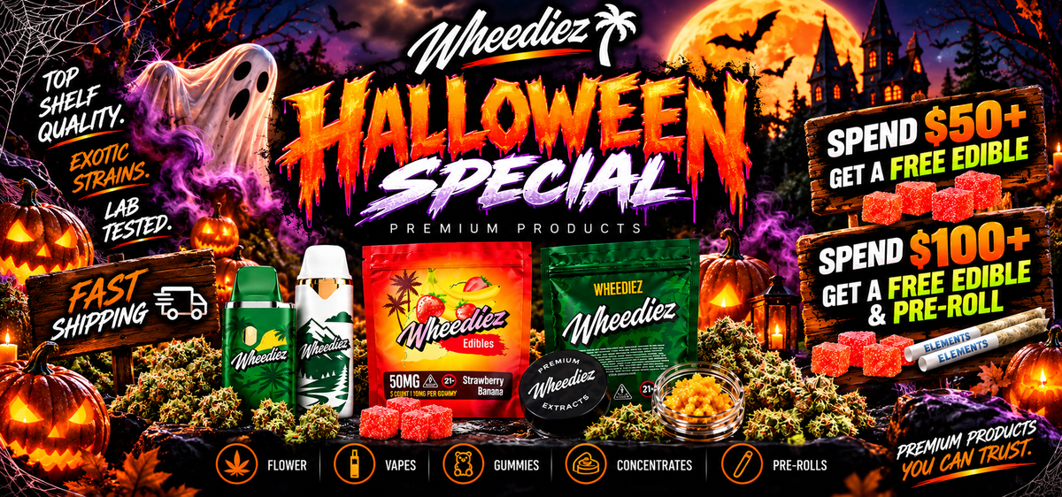slider image slider_item_VHaNkd