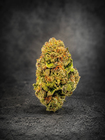 Lava Burst - OZ DEAL