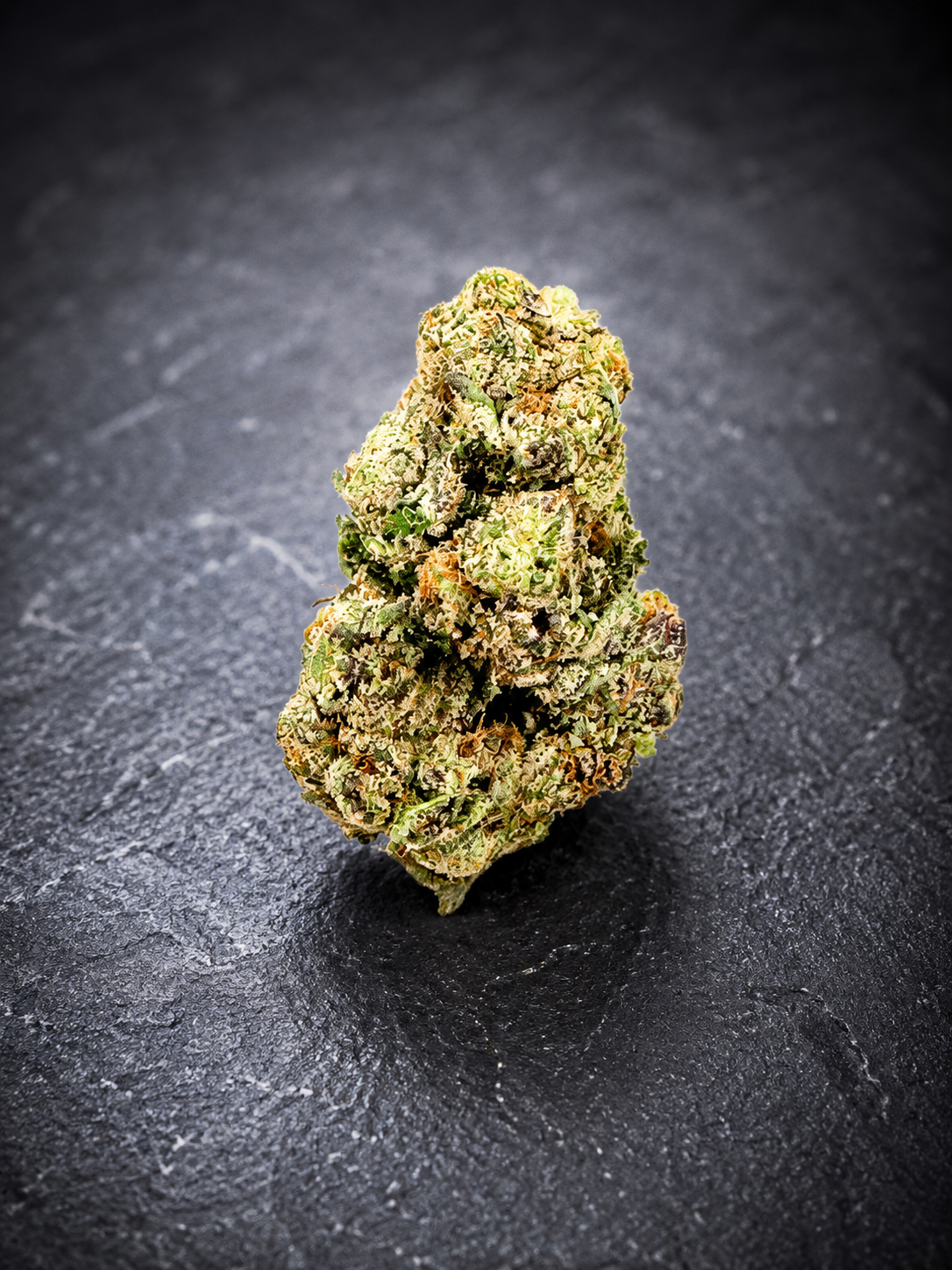 Oakland Runtz - Closed Canopy Exotic Indoor Flower