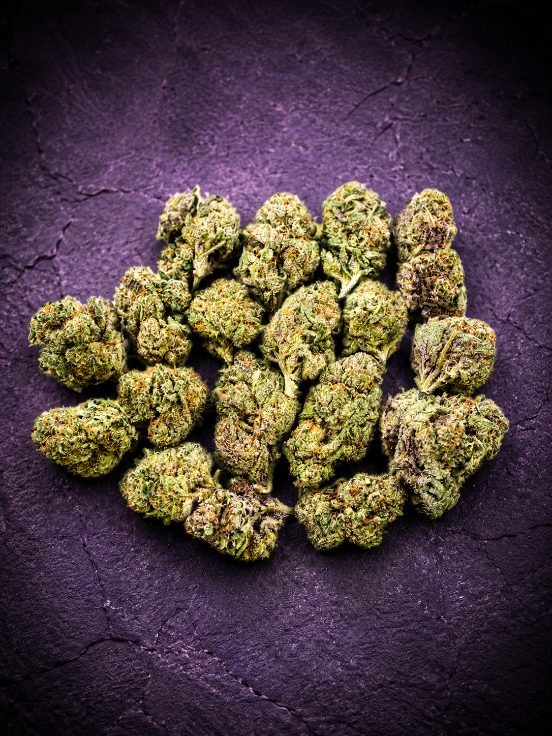 Star Beltz - OZ DEAL