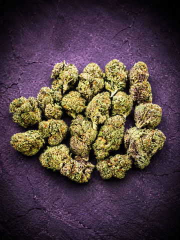 Star Beltz - Bulk
