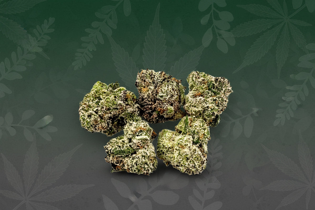 Space Gumbo Exotic Indoor Smalls