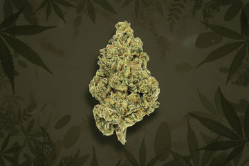 Candy Smackers Exotic Greenhouse Flower