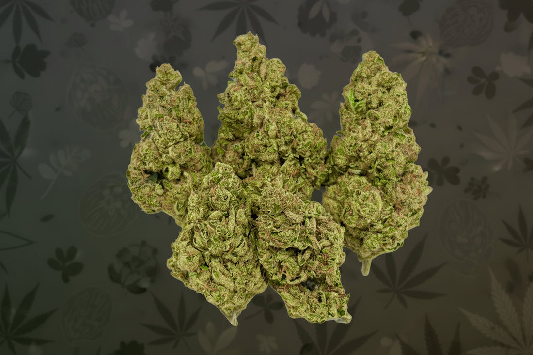 Candy Smackers Exotic Greenhouse Flower