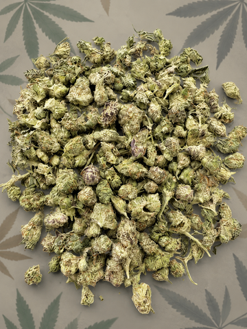 Candyland Premium Indoor Micros