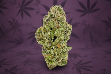 Purple Creamsicle