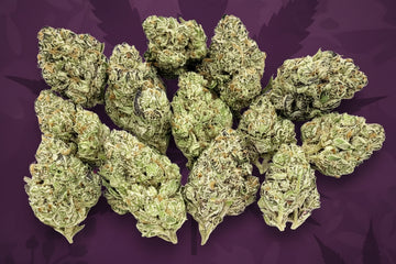 Purple Creamsicle - Bulk