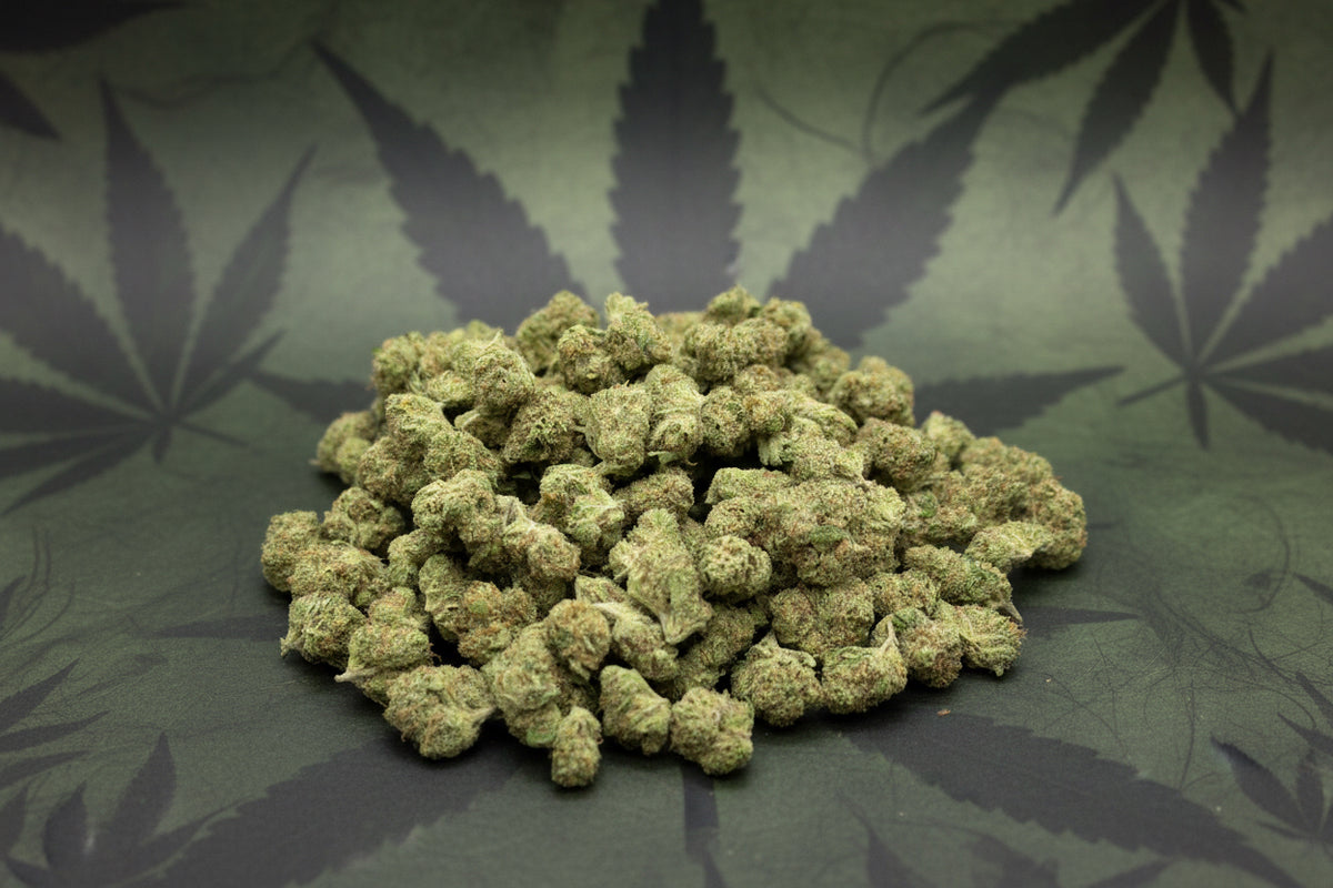 Pineapple Rockets Light Assist Indoor Smalls