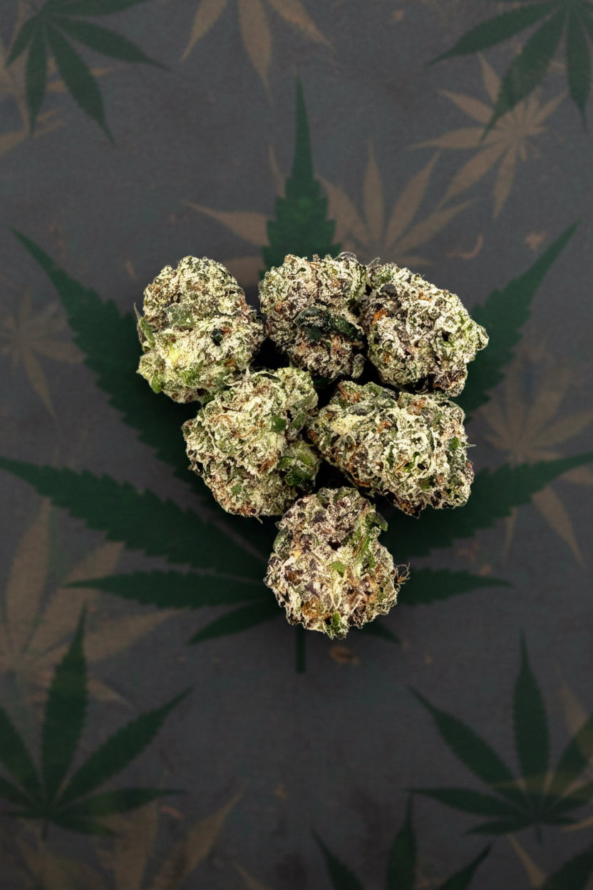 Chrystal Lollipop Exotic Indoor Smalls