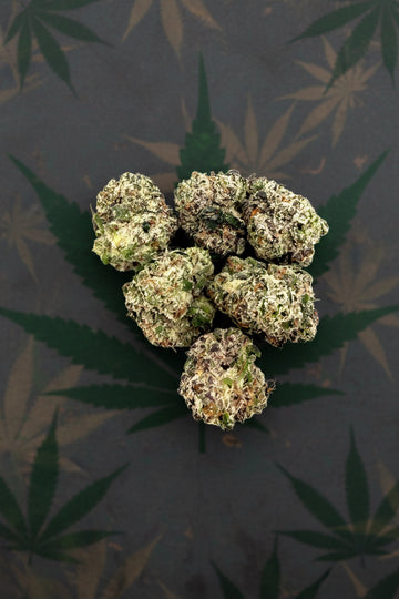 Chrystal Lollipop Exotic Indoor Smalls
