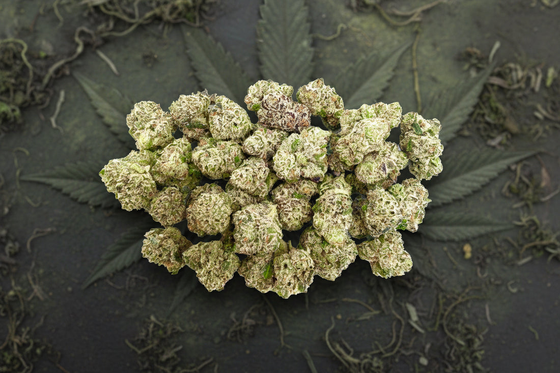 Chrystal Lollipop Smalls