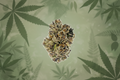 Rainbow Belts-Nug-THCA Exotic Indoor Flower