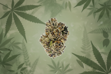 Rainbow Belts-Nug-THCA Exotic Indoor Flower