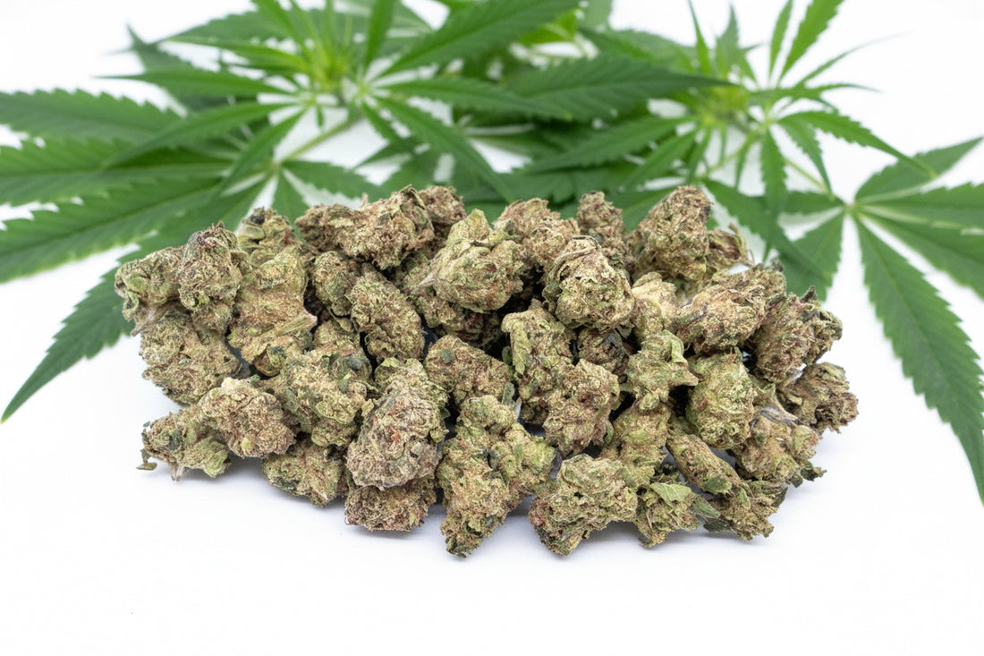 Donny Burger Greenhouse Smalls