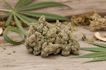 Sour Jack