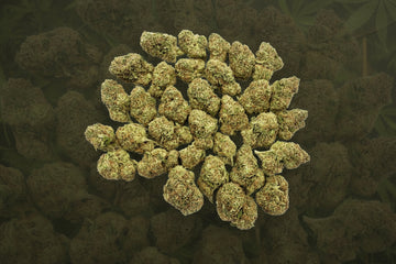 Durban Berry