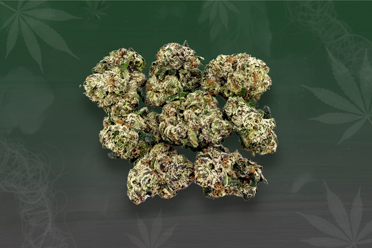 Gummy Sherbet Exotic Indoor Smalls
