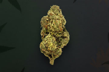 Kiwi Candy High-Quality Flower