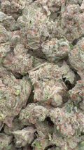 blueberrypgo